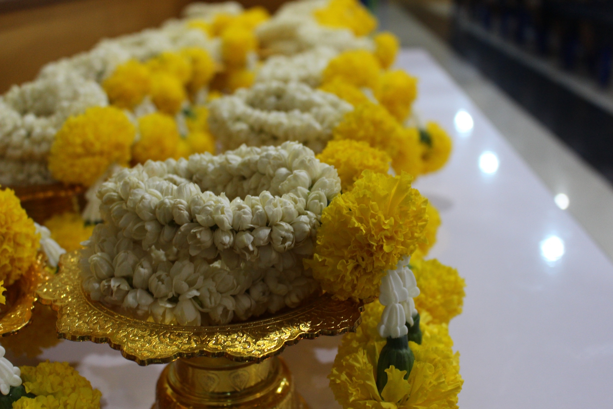 �Ѩ��� �.6_������_380