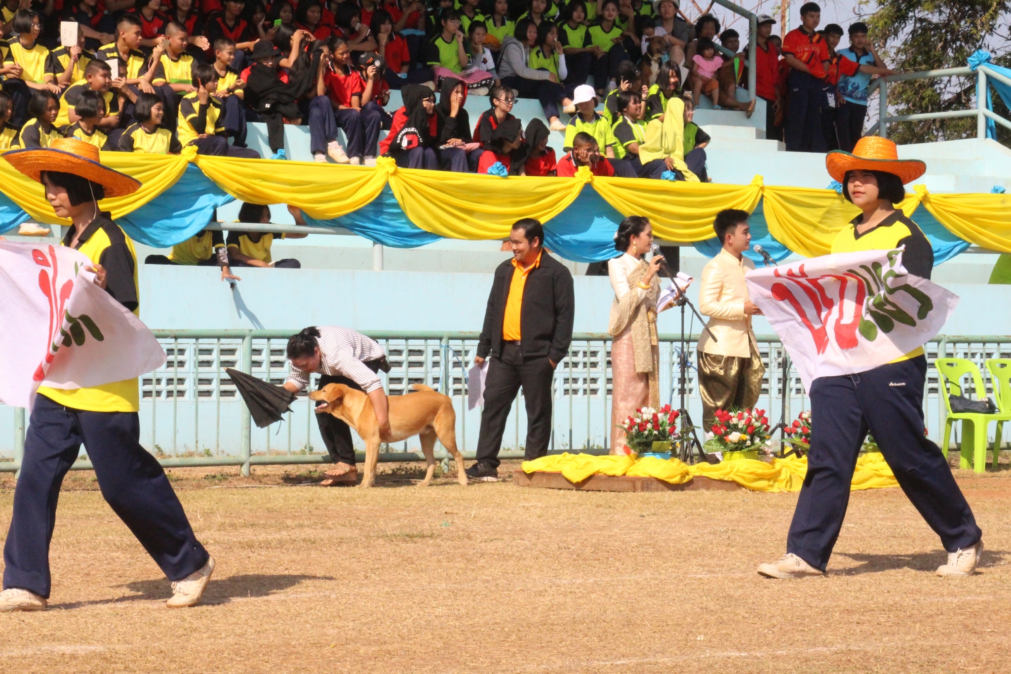 �������� 62.2_������_0558