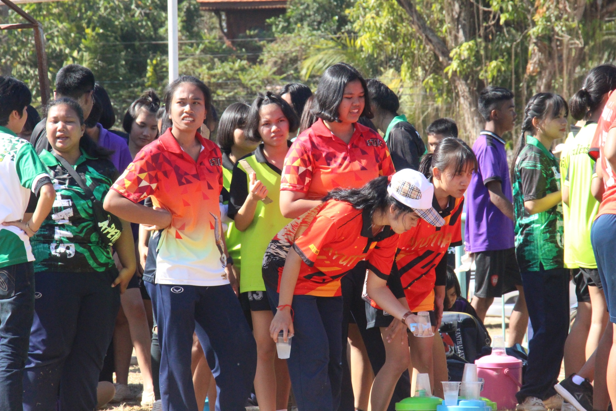 �������� 62.3_������_0351