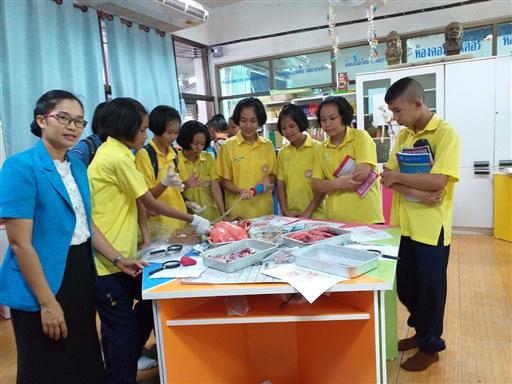 �ѹ�Է�� �.�.�. 62_������_0043