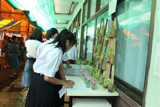 �ѹ�Է�� �.�.�. 62_������_0188