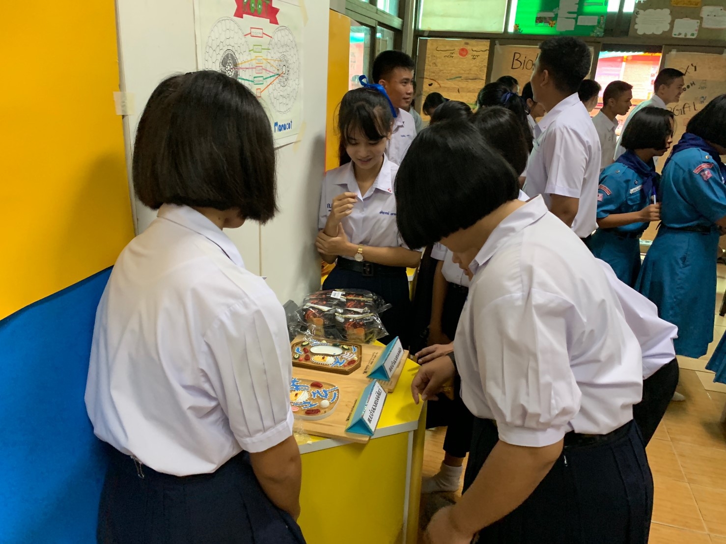 �ѹ�Է�� �.�.�. 62_������_0048