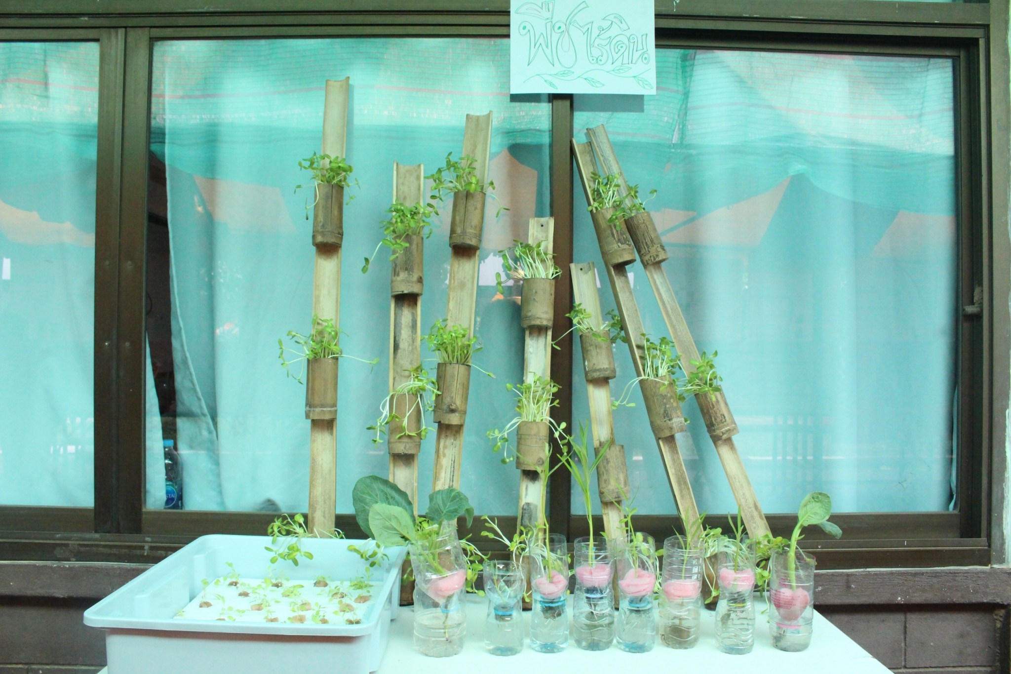 �ѹ�Է�� �.�.�. 62_������_0159