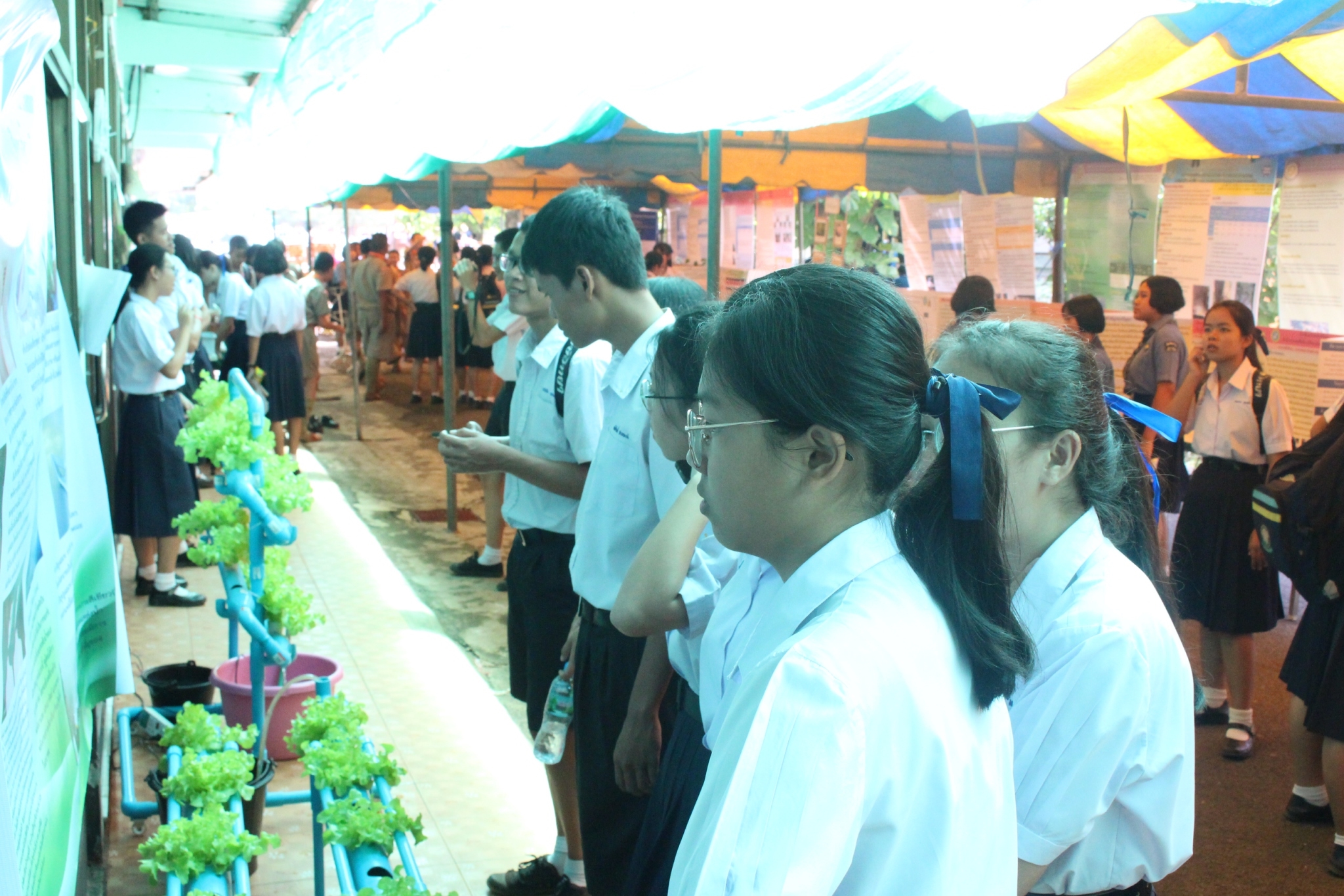 �ѹ�Է�� �.�.�. 62_������_0190